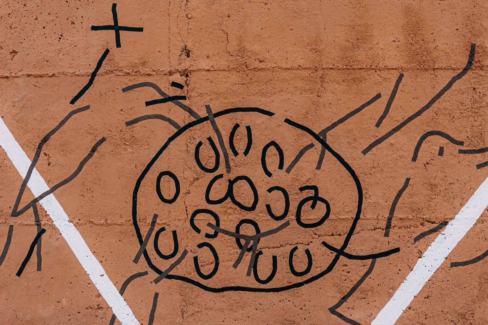 image5
