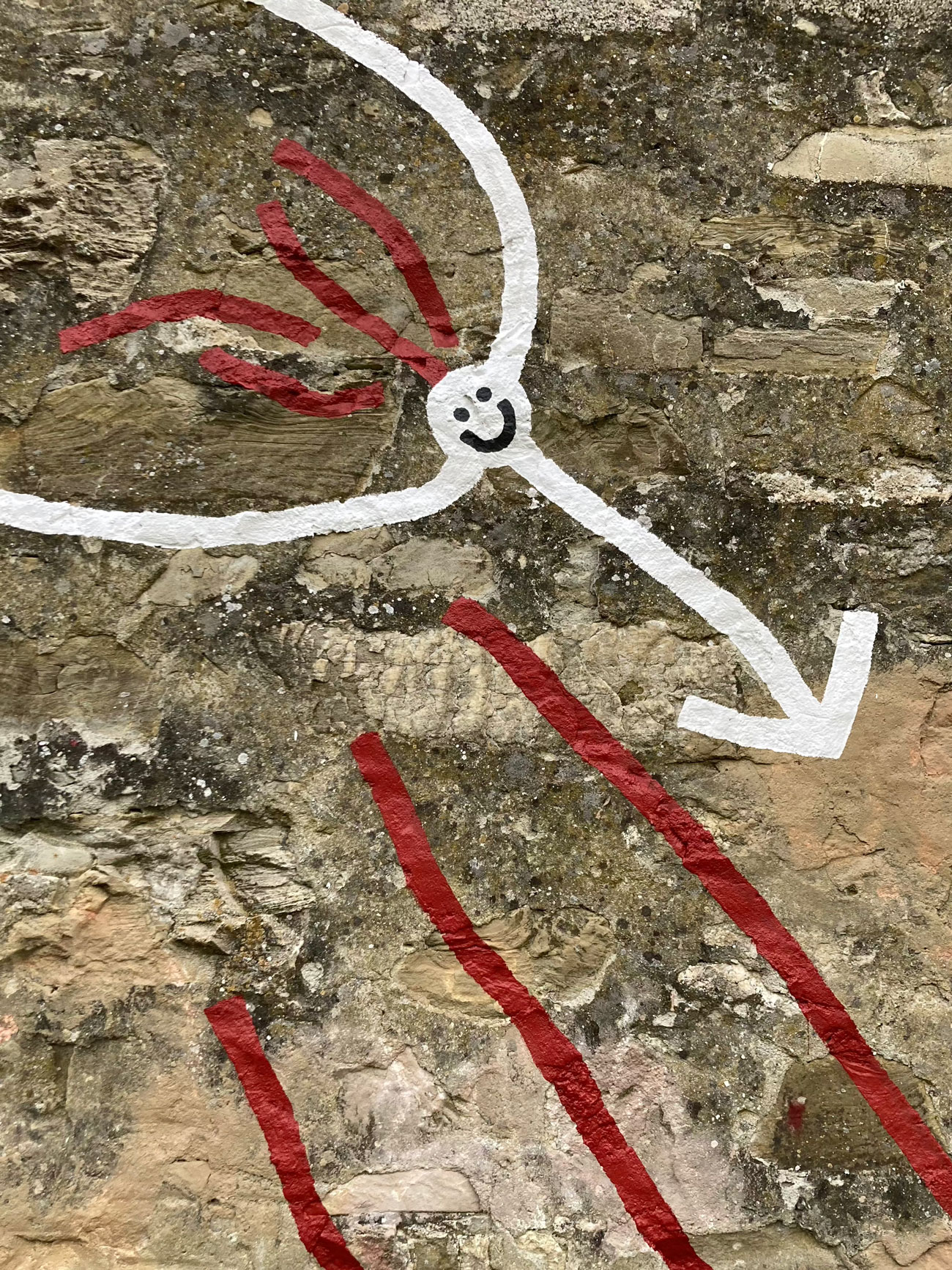 image1